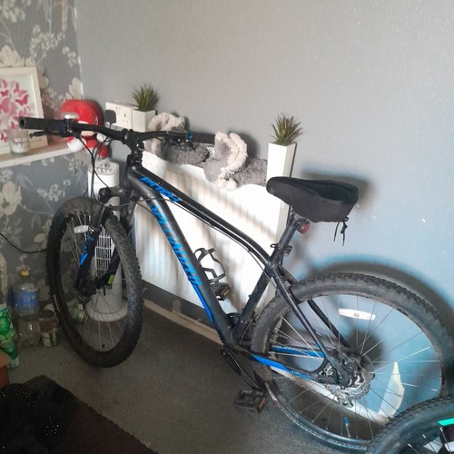 Specialized mountain bike - mountain,