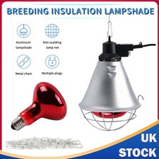 250W Infrared Heat Lamp