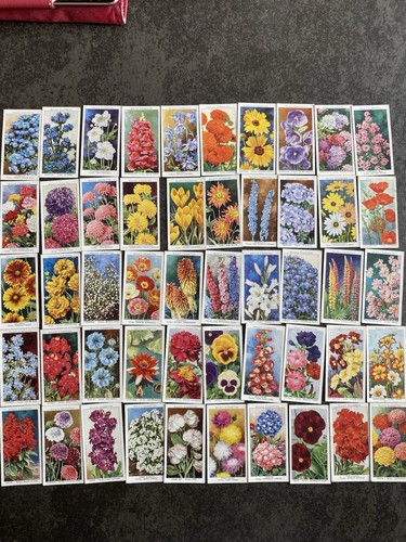 Full sets garden flowers - sets, of