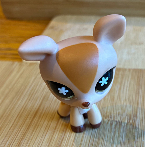 Tan deer fawn - , eyes