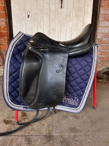Harry dabbs jaguar dressage - dabbs,