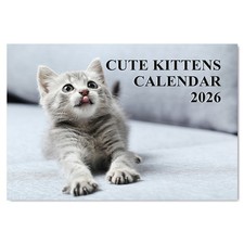 A4 Cute Kittens Calendar 2026