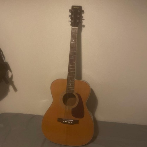 Morris acoustic guitar - acoustic,