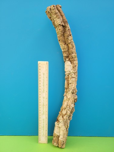 Cork bark branch 49cm snake - bark,