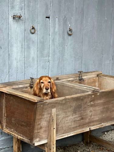 Pitch pine deep butlers sink - butlers,