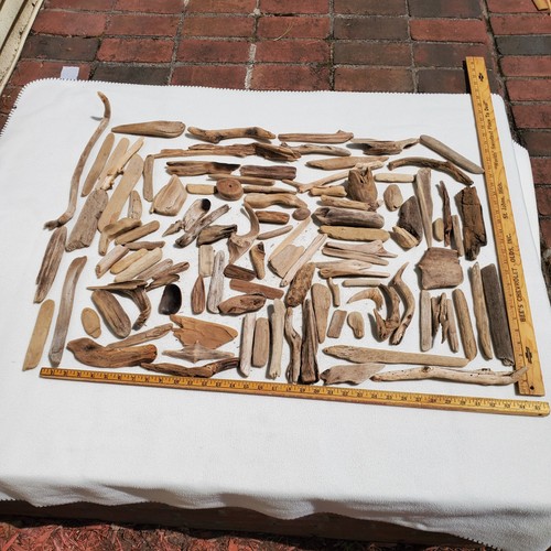 Driftwood natural wood huge - natural,