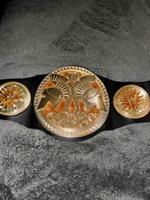 WWE Championship Belt Kids Toy