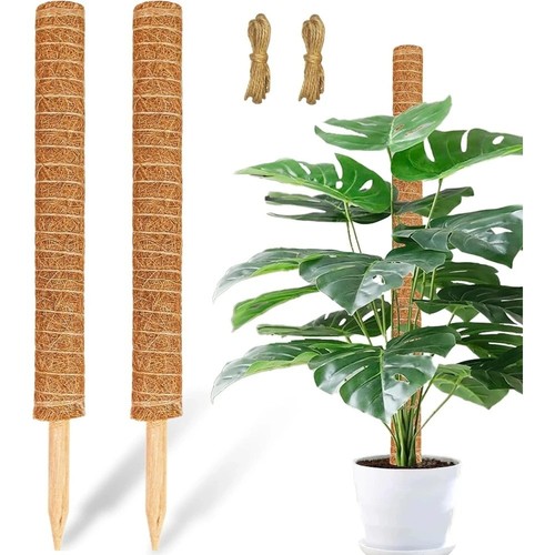 Moss pole extendable - extendable,
