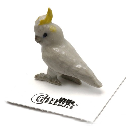 Little critterz parrot - little,