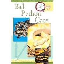 Quick and easy - easy, pythons