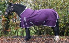 TURNOUT RUG HORSE TURNOUT RUG NO FILL LIGHTWEIGHT HORSE RUG 600D STANDARD NECK