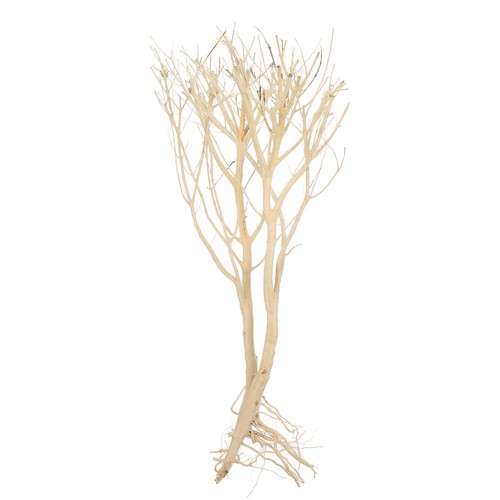 Dead tree ornament for - dead,