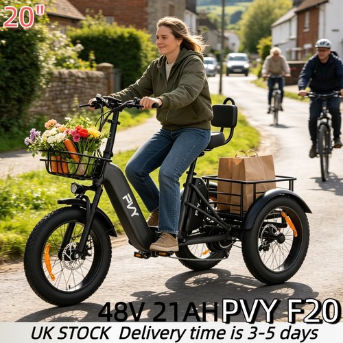 Fat tire electric - tire,