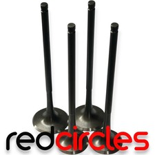 250cc PIT BIKE INTAKE EXHAUST VALVES M2R 10TEN CHINESE DIRT ZS177MM - NC250