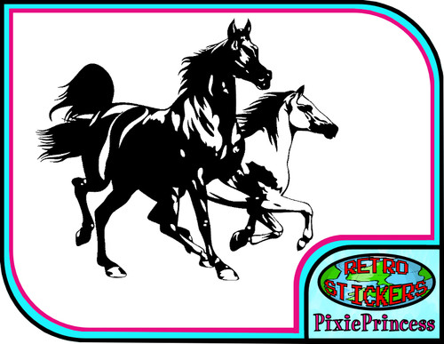 Horse riding equestrian horses - riding,