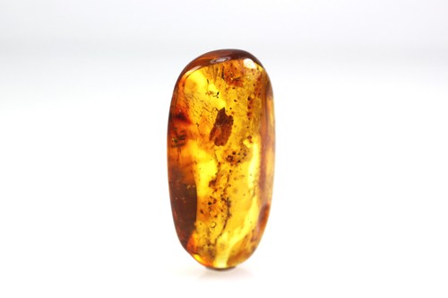 Natural baltic amber stone - natural,