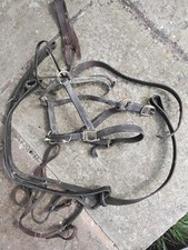 Harness Plus Headcollar  Pluss Standing Martingale