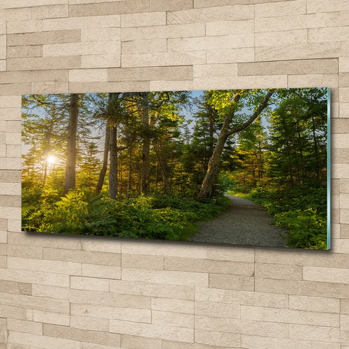Glass print wall - print, art