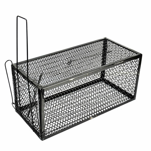 Rat catcher spring - x,