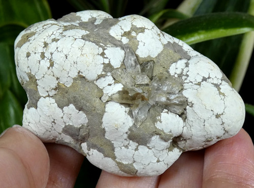 Rare aluminite gypsum hall - rare,