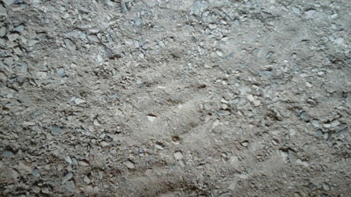 Powder dust smoked edible - powder/dust/smoked,