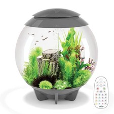 BiOrb HALO 60 Aquarium Fish