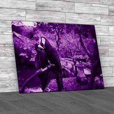 Blue Gold Macaw Purple Canvas