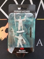 Human Wizard (Male Staff) -