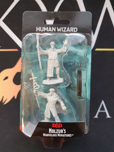 Human wizard - human, (male