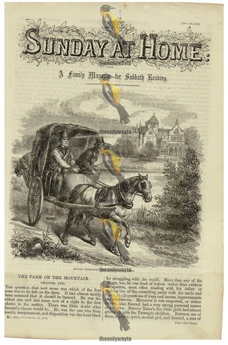 Horse drawn carriage book - drawn, carriage,