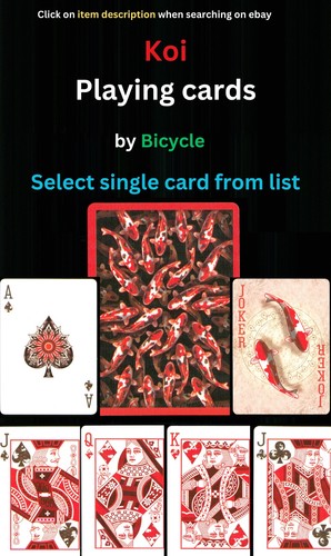Koi bicycle select - by, –