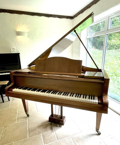 Bluthner baby grand - , model