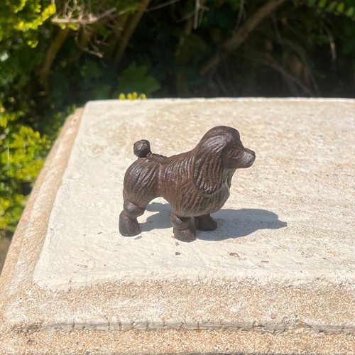 Miniature poodle garden - miniature,