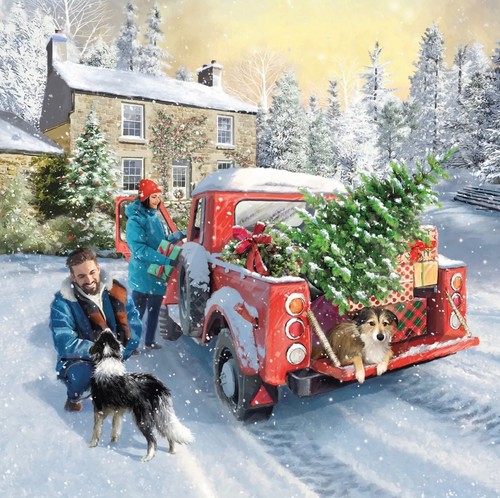 Pack charity christmas - pack,