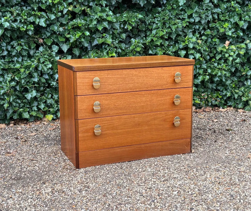 Vintage 1960s stag - vintage,