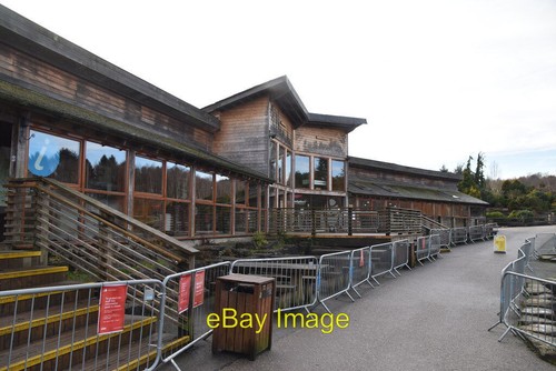 Photo 6x4 national pinetum - 6x4,