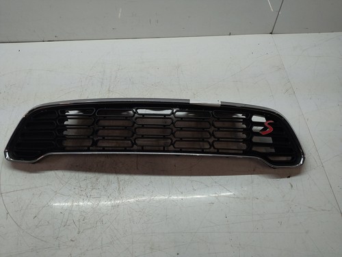 Radiator grille for - , mini