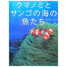 Clownfish and Coral Reef Fish Knowledge Pocket 5 Picture Book Used