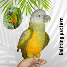 Senegal Parrot Knitting