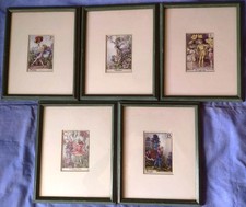 Cecily Mary Barker: 5 x Original Vintage Prints A Flower Fairy Alphabet Framed