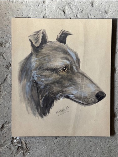 Sweet vintage french dog - sweet,