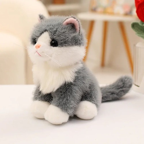 Cat teddy for - for, decor