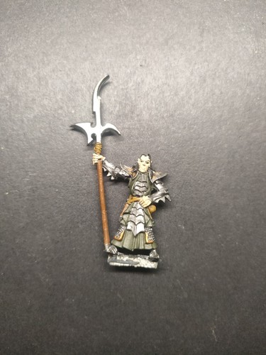 Metal dark elf - metal, elves