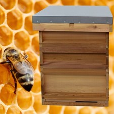 National bee hive cedar - bee,