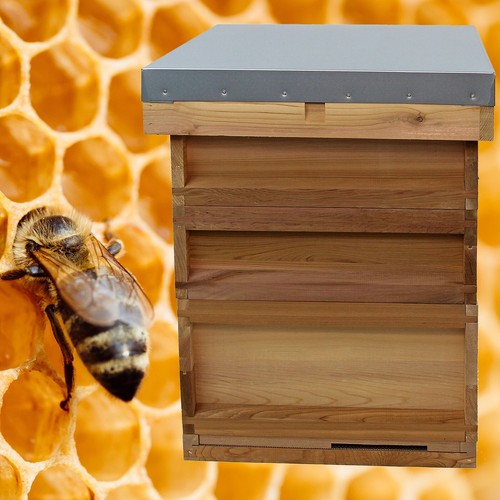 National bee hive cedar - national,