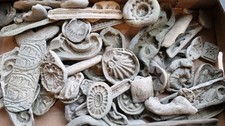 Collection Of Architectural Plaster Casting Moulds For Decorative Mouldings