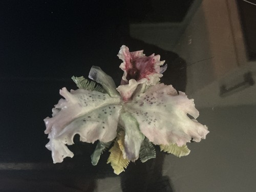 Vintage crown derby orchid - vintage,