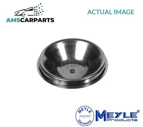 Cap wheel bearing 300 - wheel,
