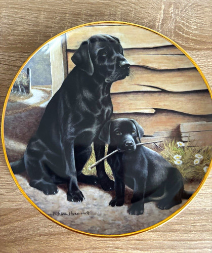 Royal doulton limited - 2x,
