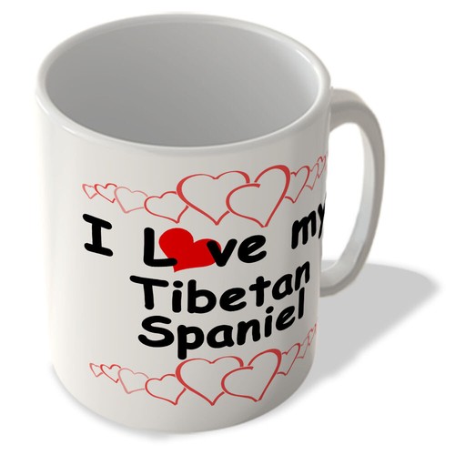 Love tibetan spaniel - my,